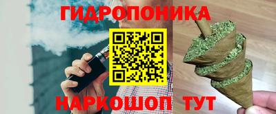 apvp Аргун
