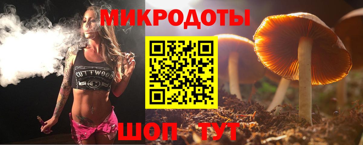 Волжск  Псилоцибиновые грибы Psilocybine cubensis  Вход с VPN 